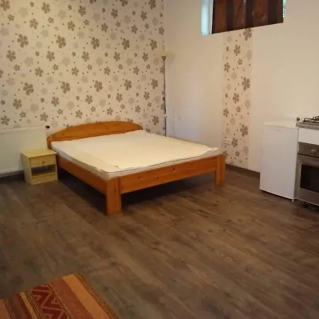 Ti-ni Apartman Apartment Csopak